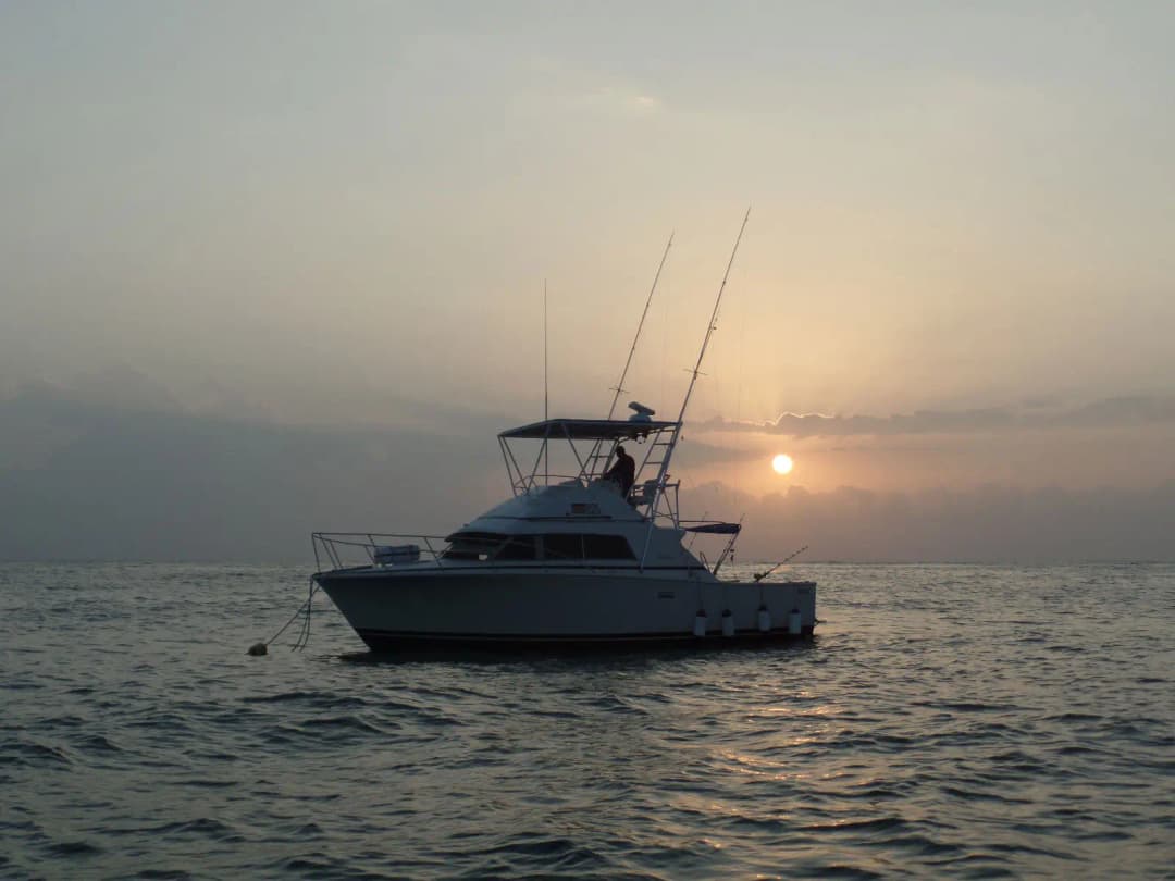 Deep-Sea Fishing Experience - Adventure in the Indian Ocean