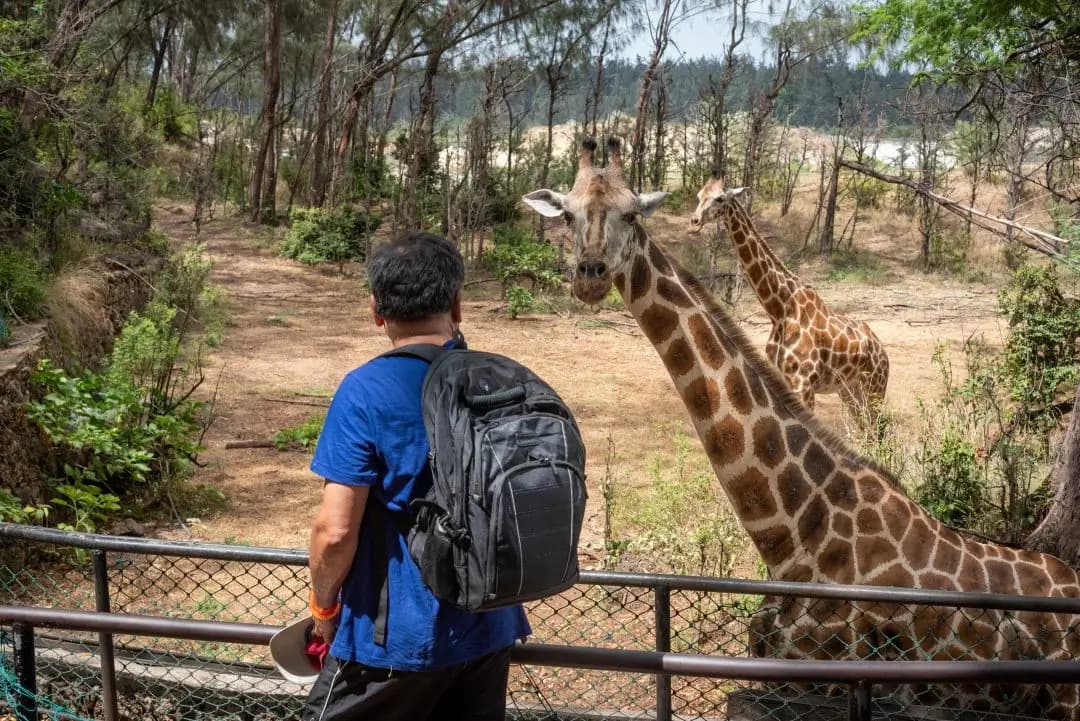 Wildlife at Haller Park Sanctuary