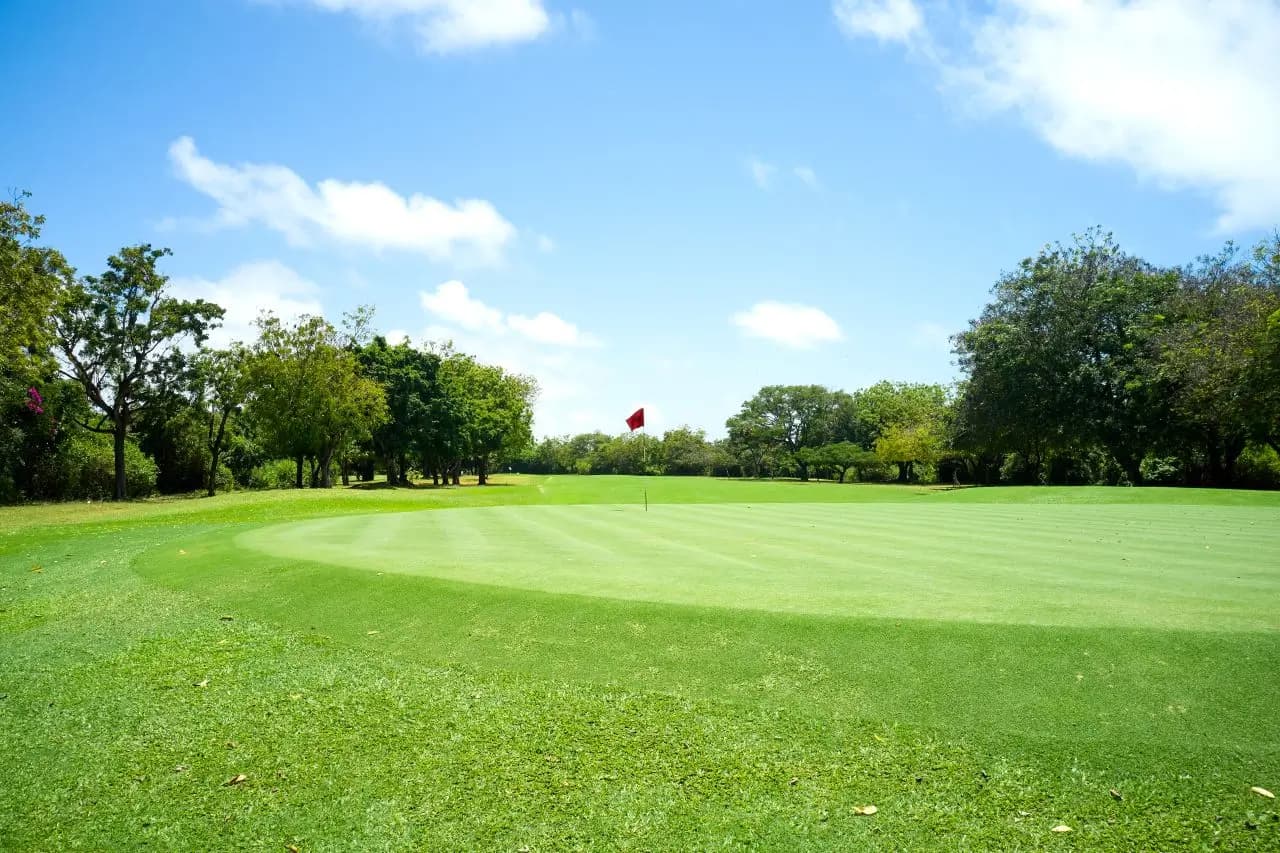 Nyali Golf Course Landscape