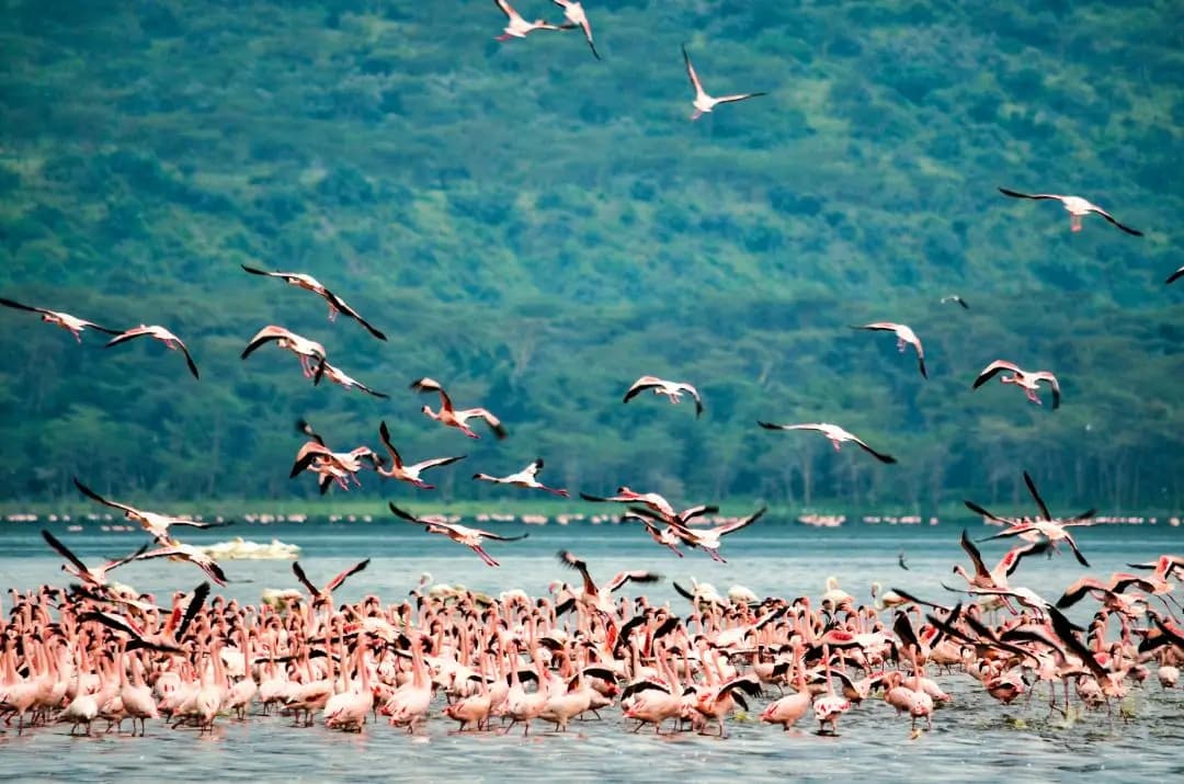 Rift Valley Lakes