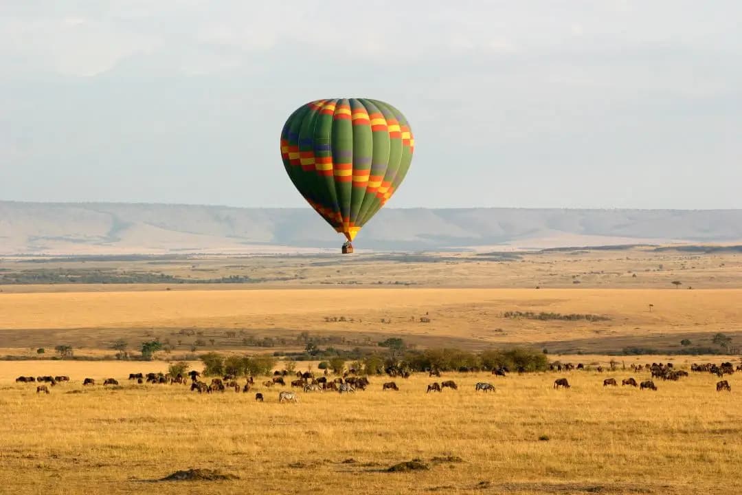 Maasai Mara Road Safari - Witness the Great Migration